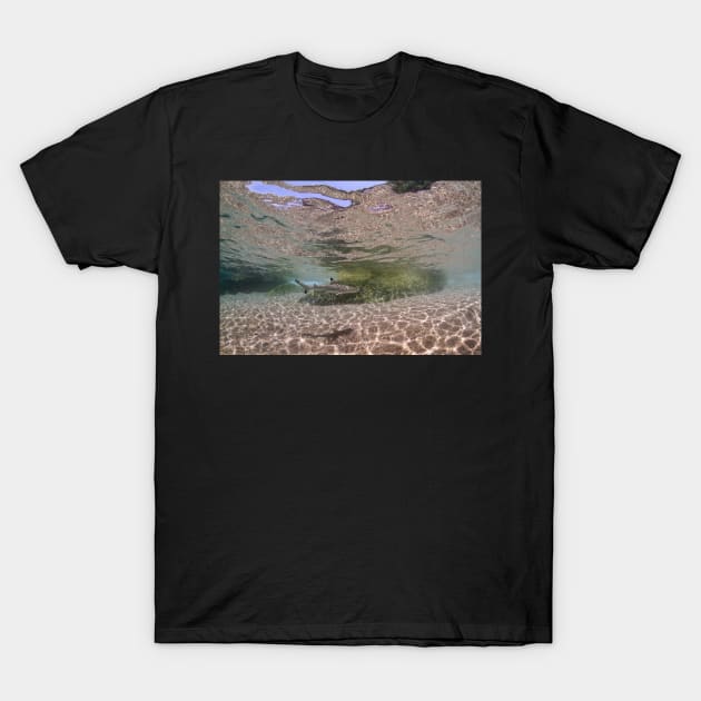 Black tip reef shark at Hin Wong Bay T-Shirt by SCUBAddict